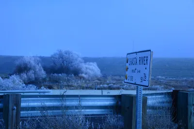 DSC_0990 (Large).JPG